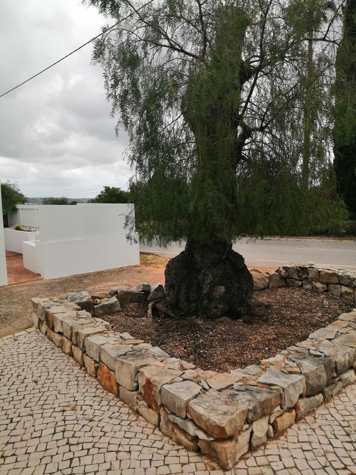 Duas Casas De Ferias Medronhal Faro Em 520 - 2 Exterior photo